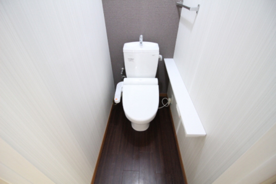 スカイガーデン関