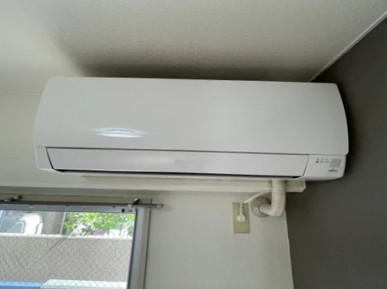 アベニューもも