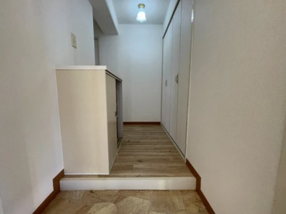 アベニューもも