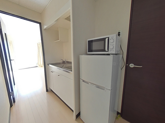 レオネクスト美 egao