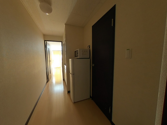 レオネクスト美 egao