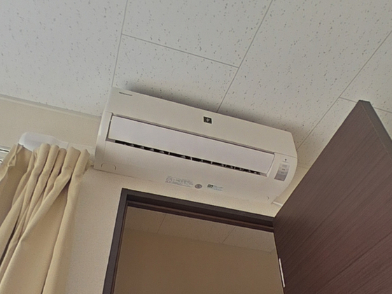 レオネクスト美 egao