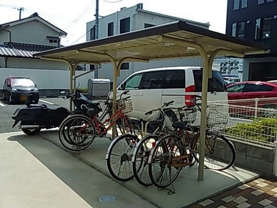 レオネクスト美 egao