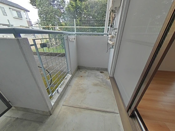 メープルリーフ