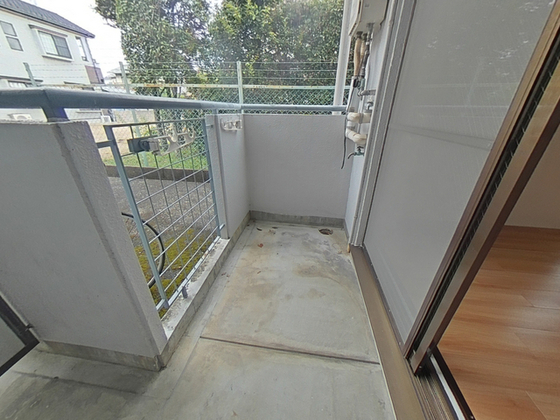 メープルリーフ