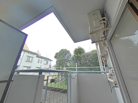 メープルリーフ