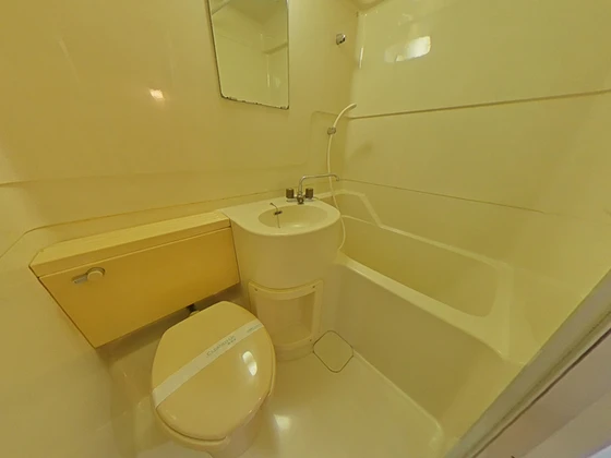 メープルリーフ