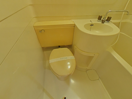 メープルリーフ