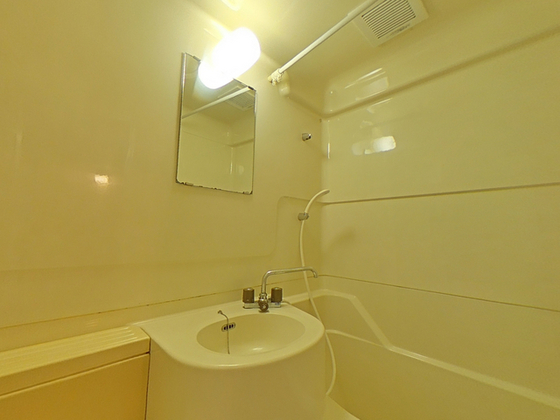 メープルリーフ