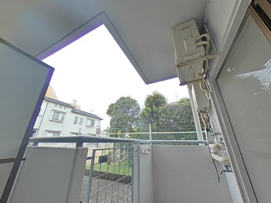 メープルリーフ