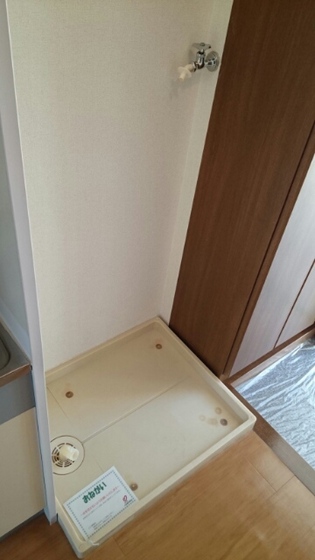 サンフラワー青江