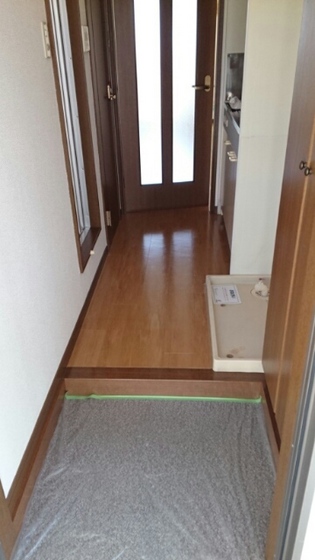 サンフラワー青江