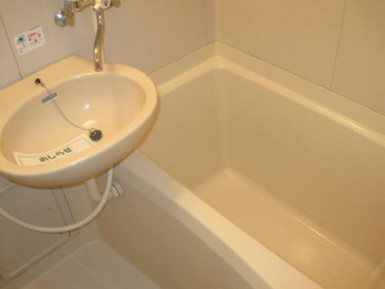 サンフラワー青江