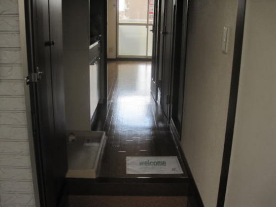 サンフラワー青江