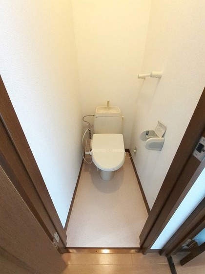 サンフラワー青江