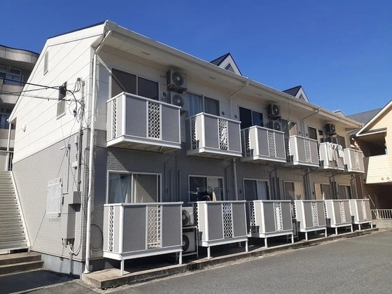 サンフラワー青江