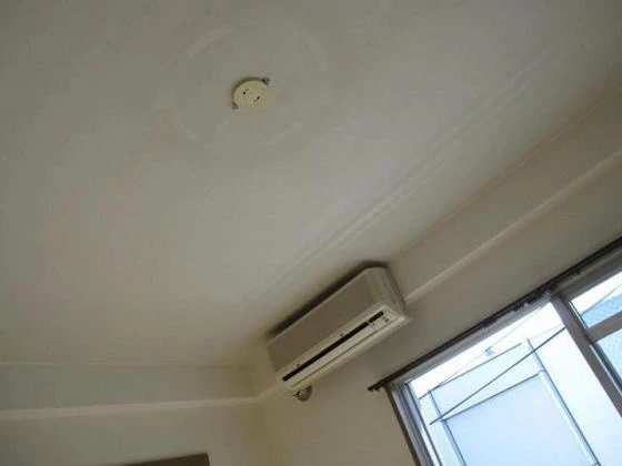 エクセレント矢野