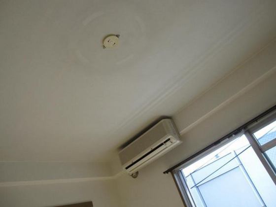 エクセレント矢野