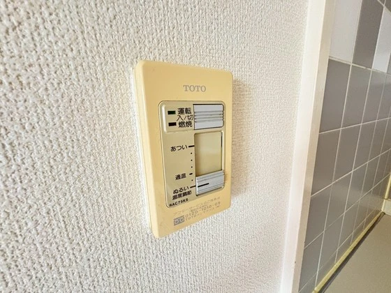 ドヴェルスミダ