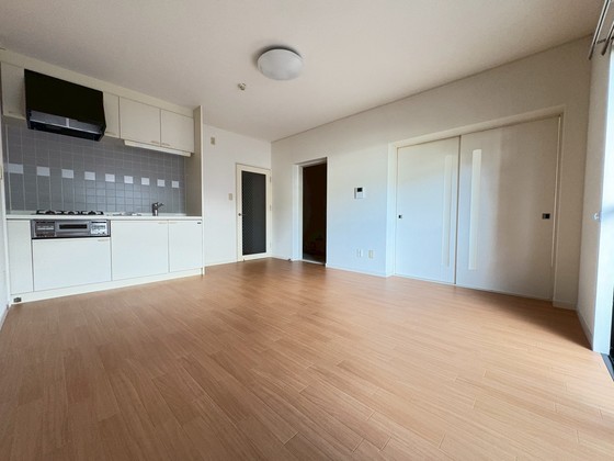 ドヴェルスミダ