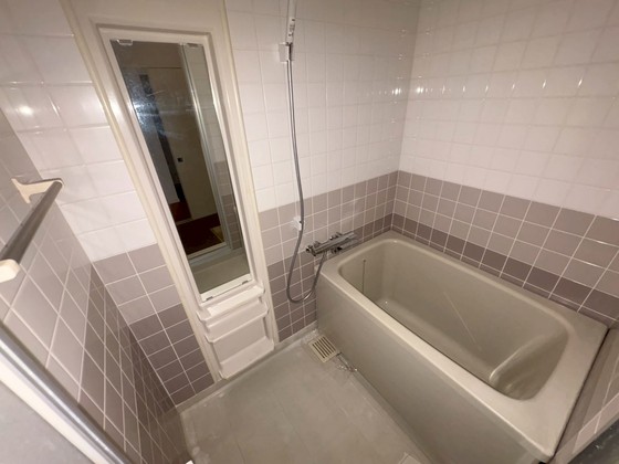 ドヴェルスミダ