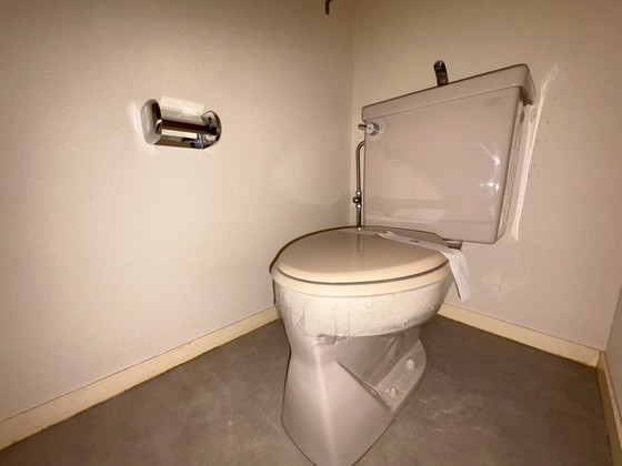 ドヴェルスミダ