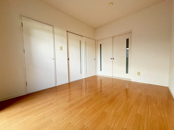 ドヴェルスミダ