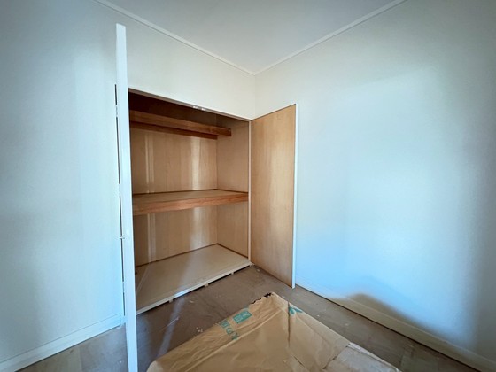 ドヴェルスミダ