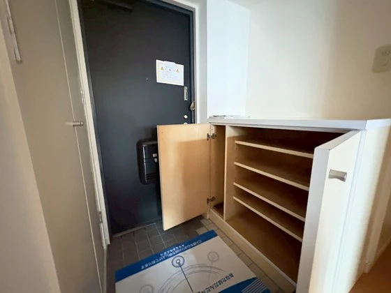 ドヴェルスミダ