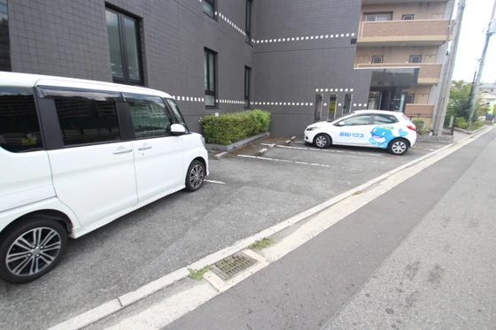 ドヴェルスミダ