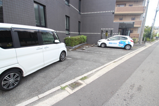 ドヴェルスミダ