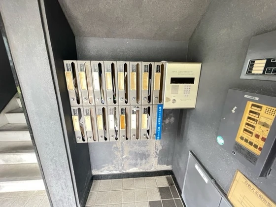 ドヴェルスミダ