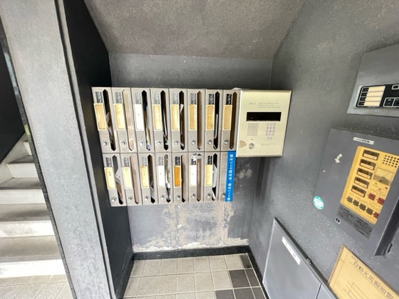 ドヴェルスミダ