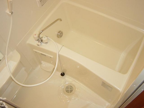 ルナ フォレスト