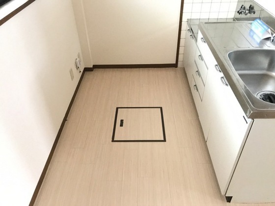 メゾンセルフィス