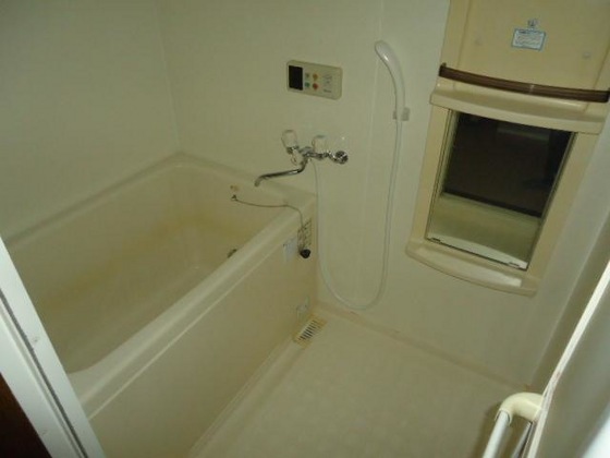 メゾンセルフィス