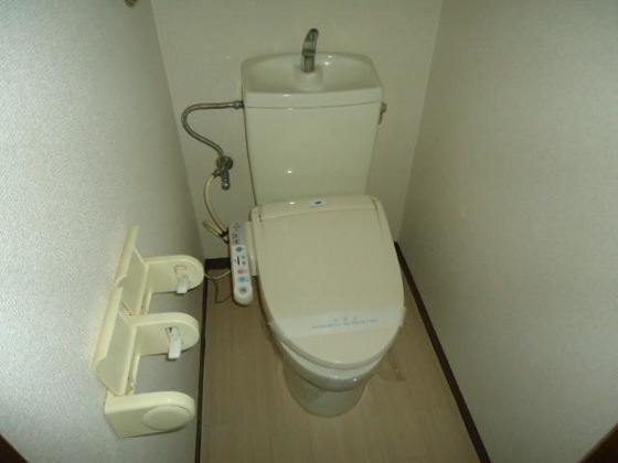 メゾンセルフィス