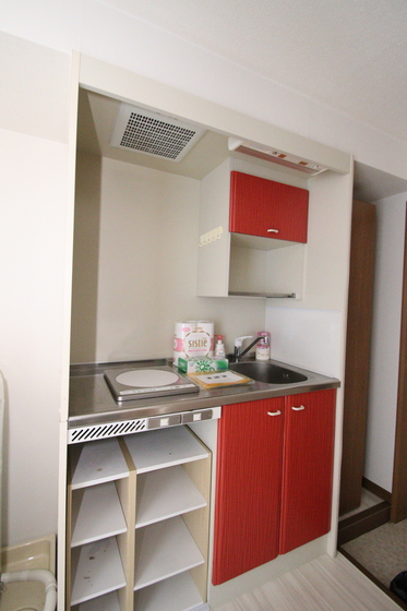 レディースキャステル