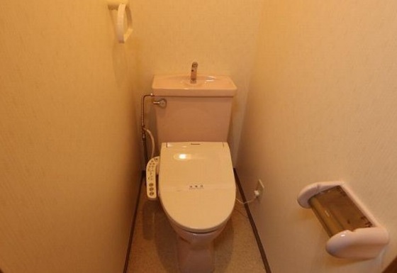 レディースキャステル