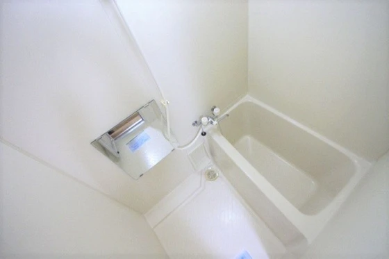 レディースキャステル