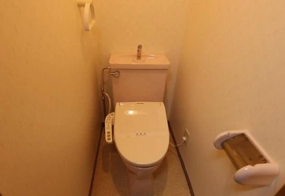 レディースキャステル