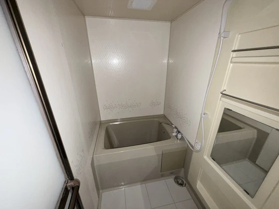 メゾンマツモト