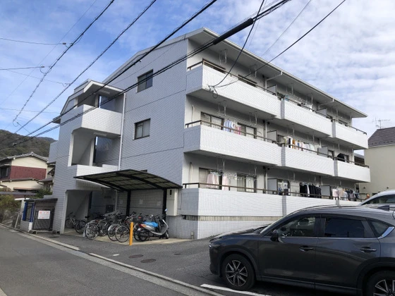 メゾンマツモト