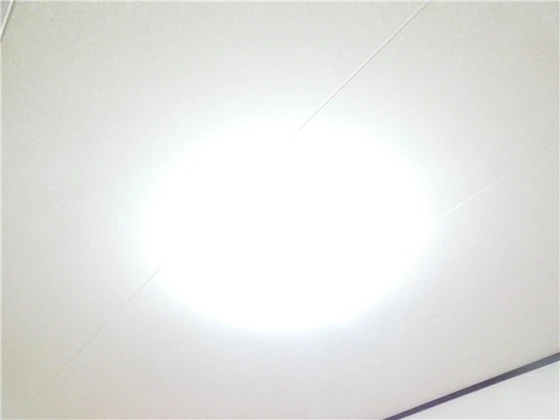 フレグランスM1