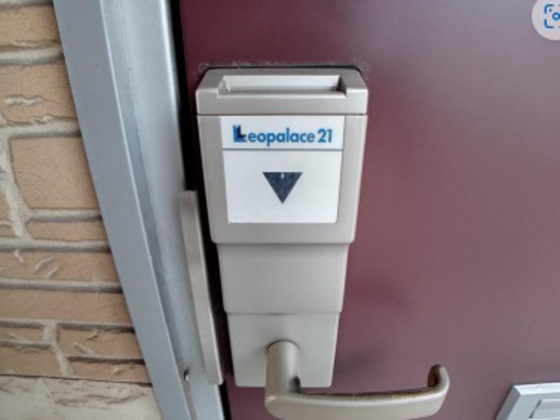 レオパレスサントラピーノ