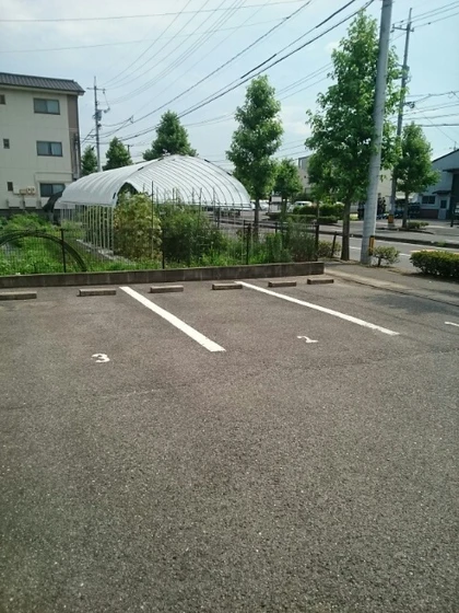 ベルフラワーⅢ