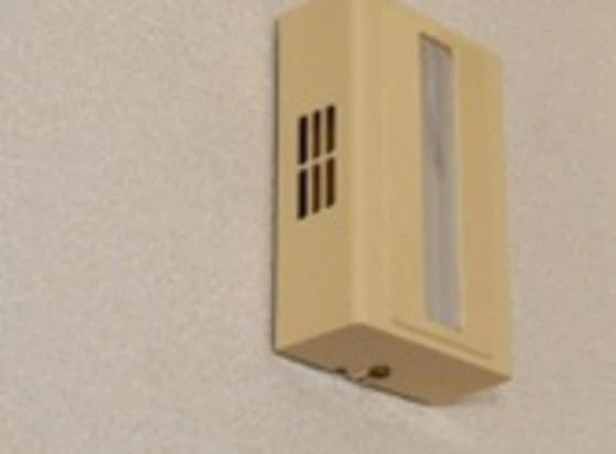 サンシャインイマ