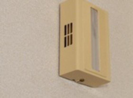 サンシャインイマ