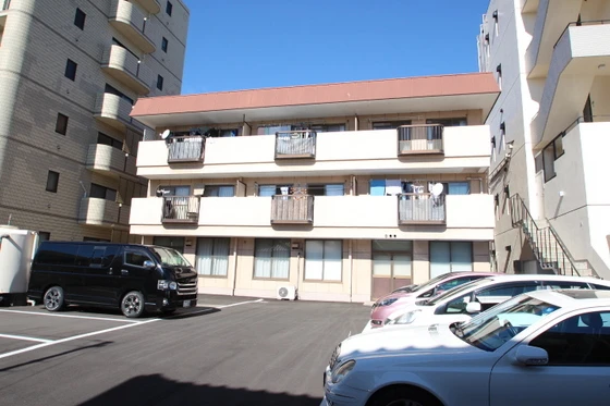 サンシャインイマ