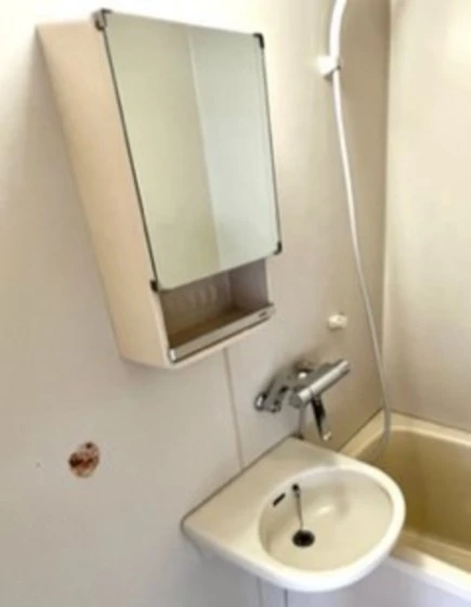 メゾンフルールⅠ